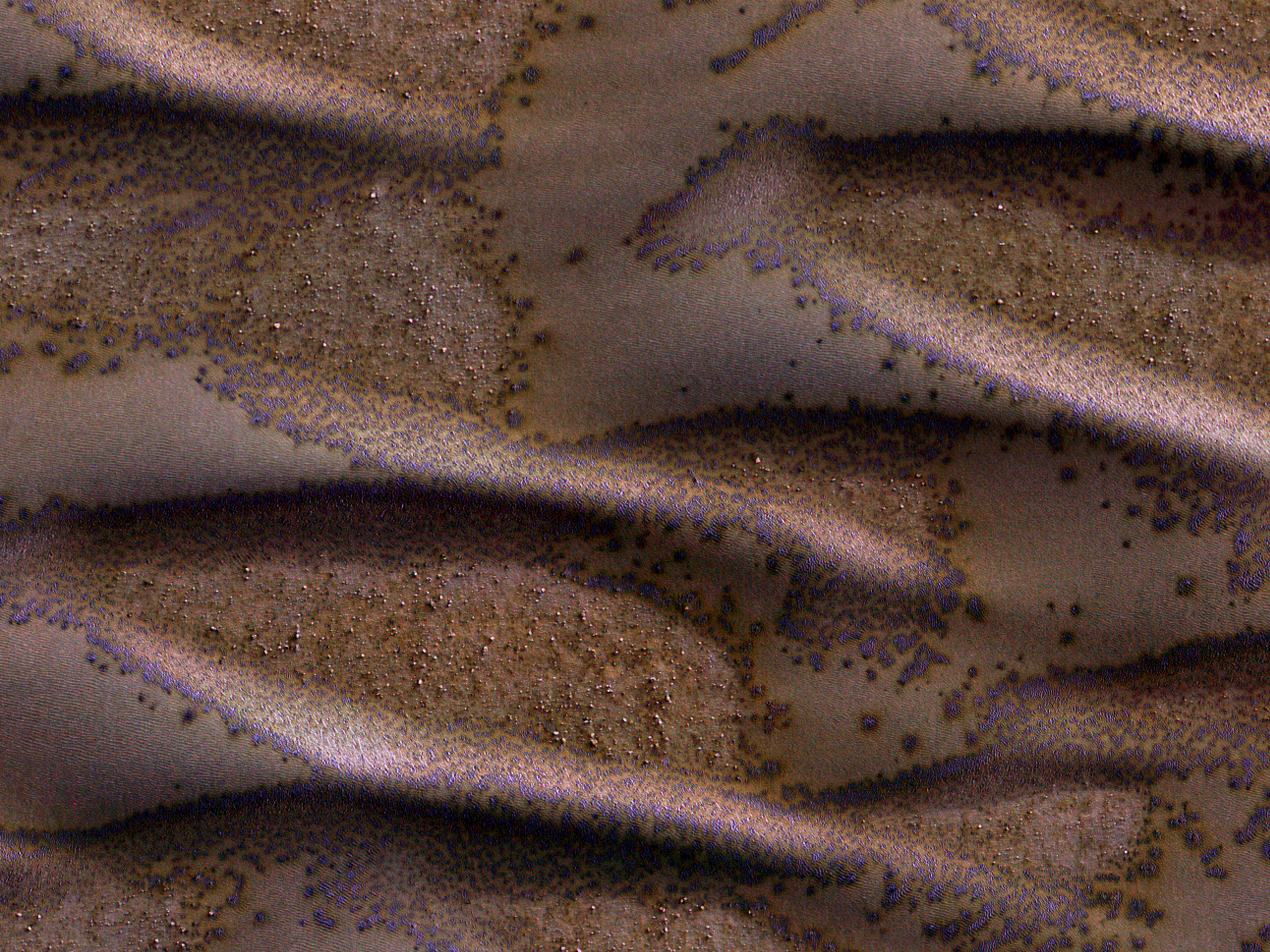 Winter on Mars