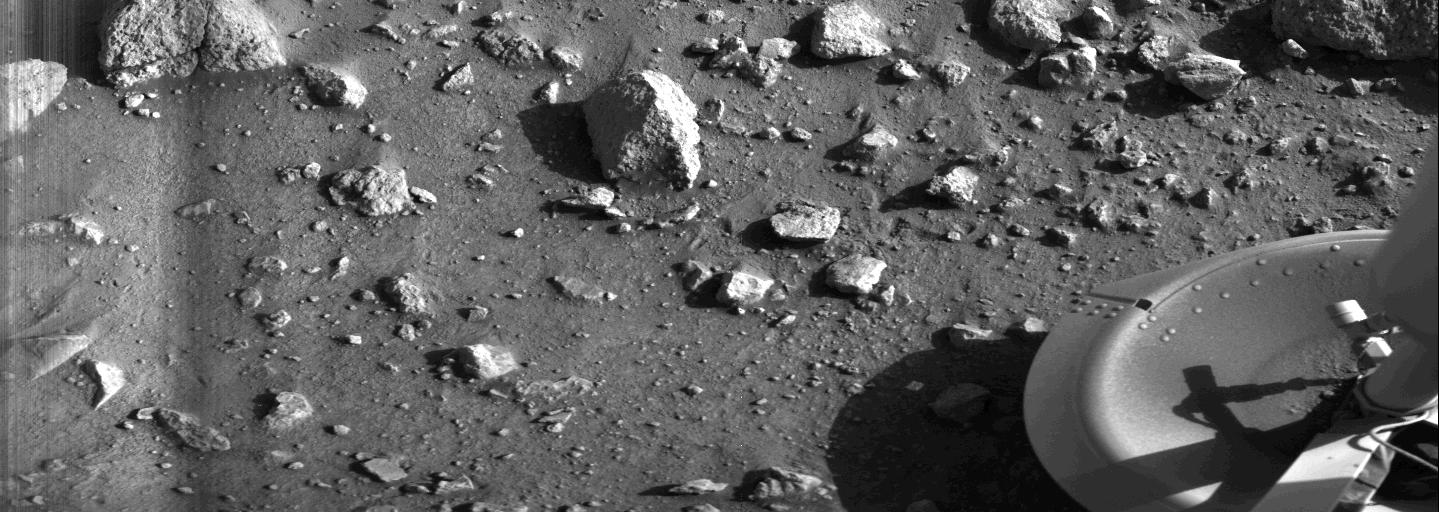 Viking on Mars, 40 Years Later: Reflections on Pioneering the Red Planet