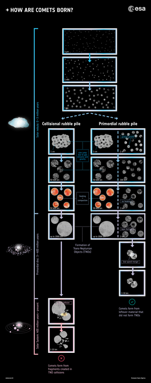 This graphic depicts the two main theories about how comets are born.