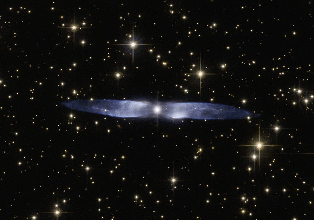 A Nebula Hen