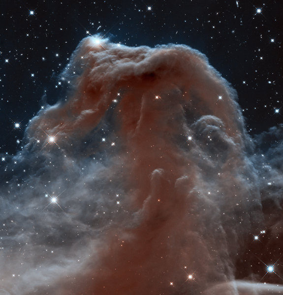 A close-up of one of the most famous dust clouds in our galaxy, the Horsehead Nebula. This infrared image was obtained by the Hubble Space Telescope in 2013.