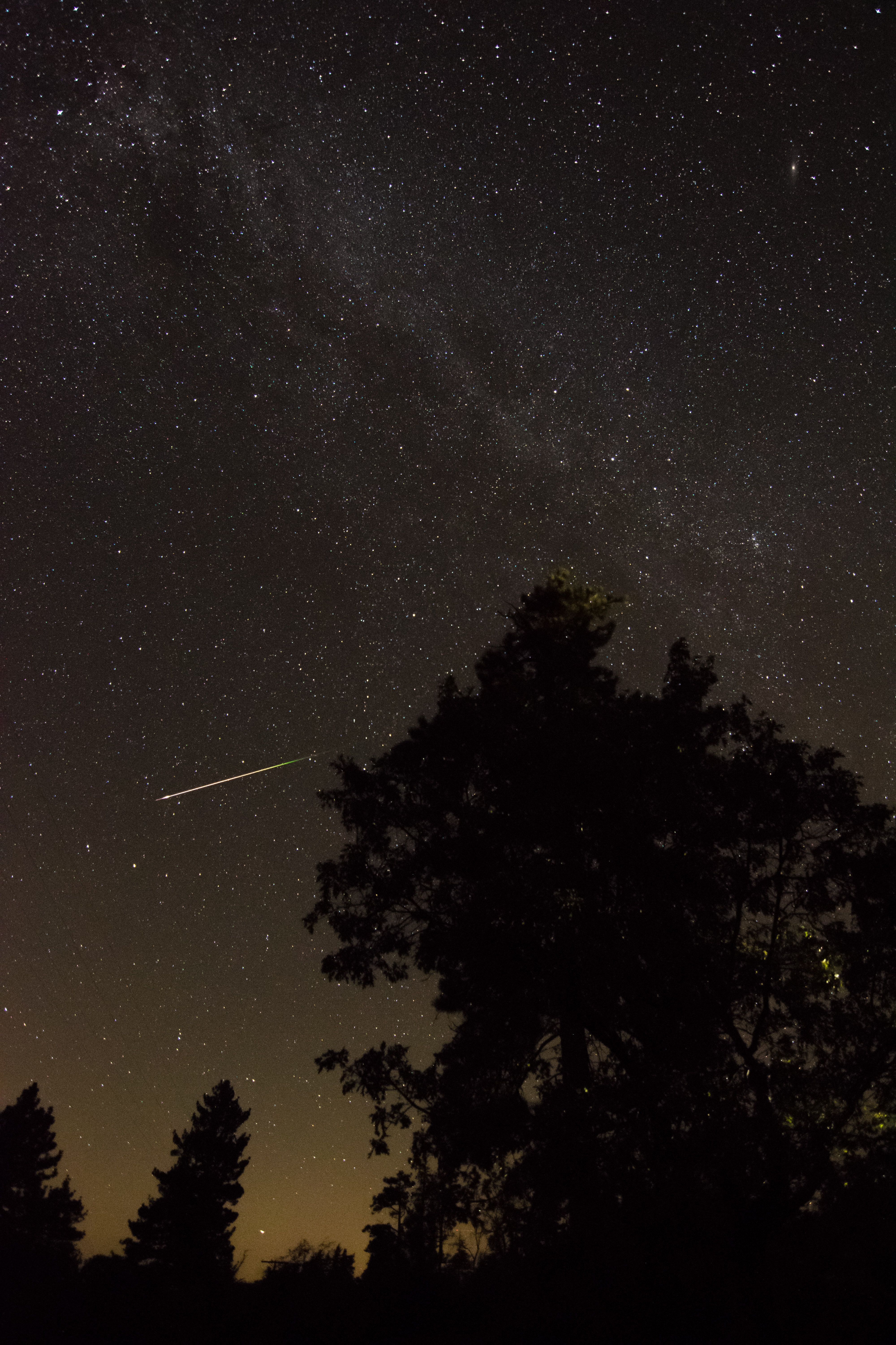 Perseid Meteor Shower Peak Thrills Skywatchers: How You Can Still Watch