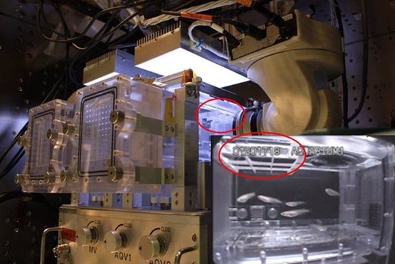The JAXA fish aquarium aboard the International Space Station.
