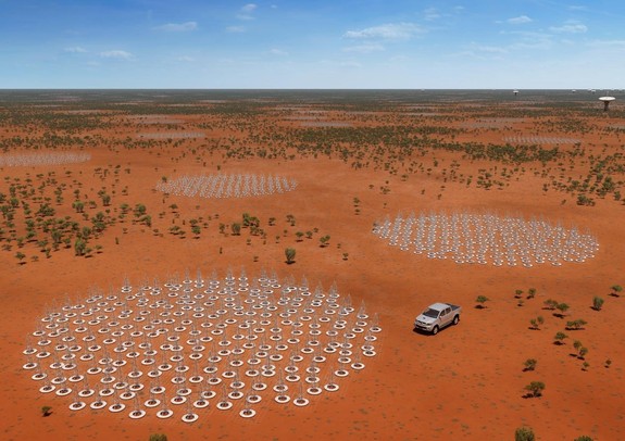 An artist's illustration of the low-frequency radio antennas to be built in Australia as part of the Square Kilometer Array radio telescope project.