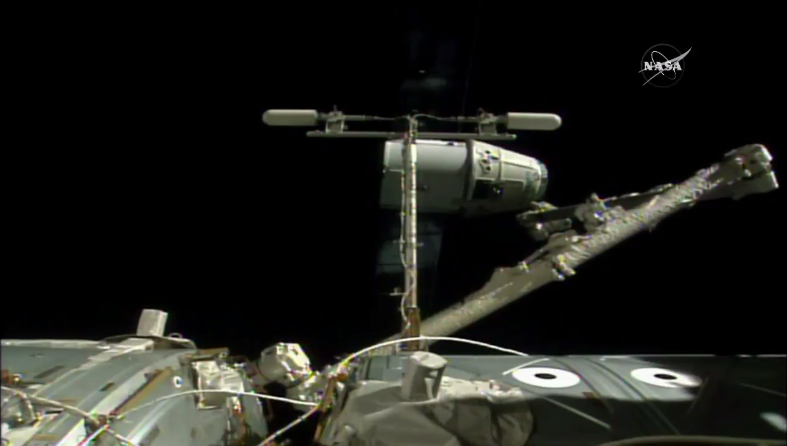 SpaceX Dragon Departs Space Station with Mice, Other Experiments