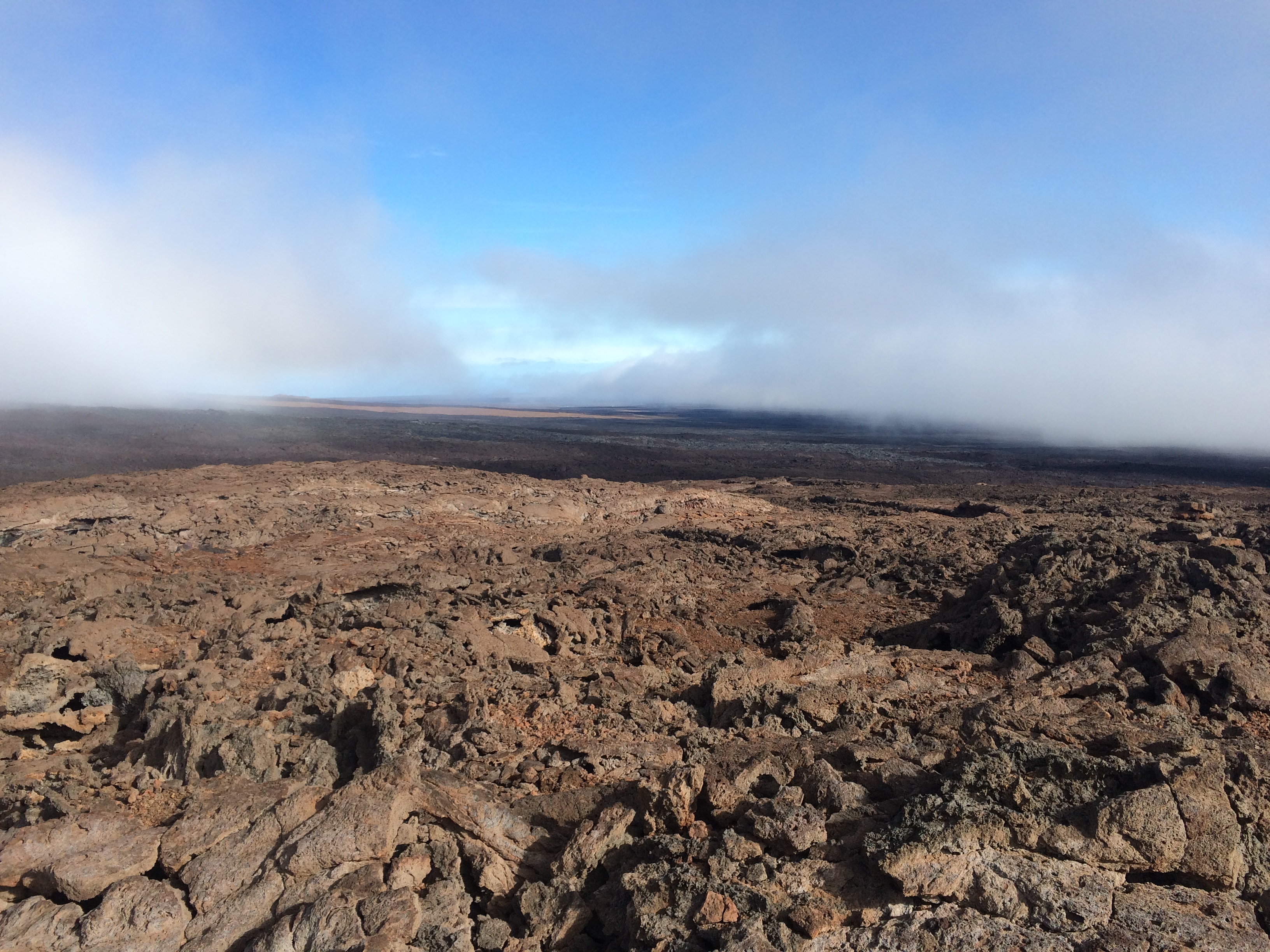 Mars, on Earth
