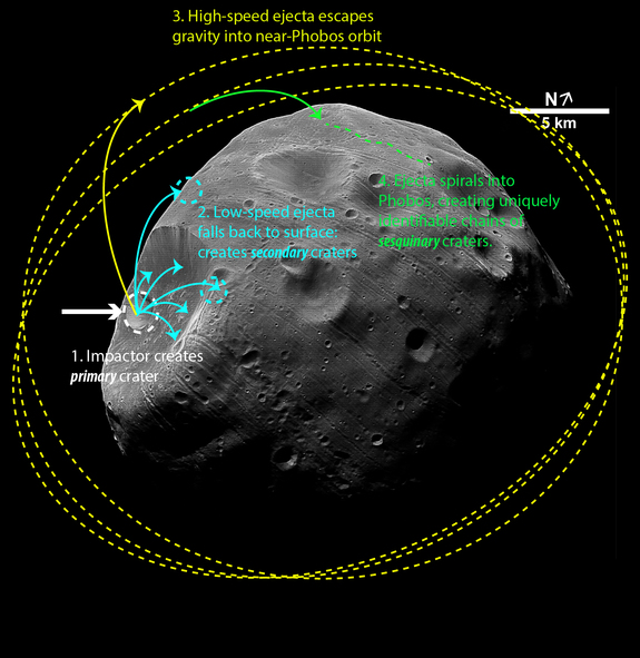 This image shows the sequence of events that create chains of craters on the Martian moon Phobos after an impactor strikes. (Orbital illustrations not drawn to scale)