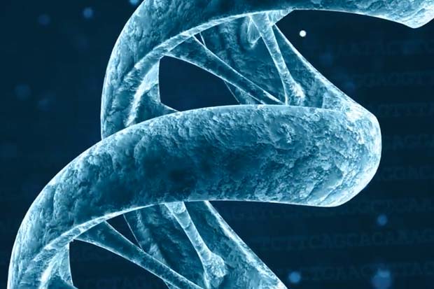 DNA Sequencing In Space - Device Tests On Space Station | Video