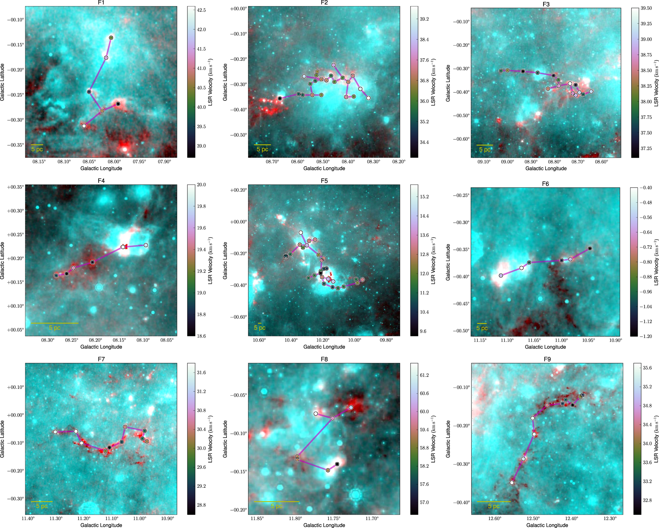 Milky Way Bone Hunters Turn Up Huge New Bounty