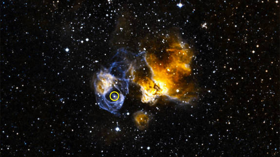 LMC P3 (circled) is located in a supernova remnant called DEM L241 in the Large Magellanic Cloud, a small galaxy about 163,000 light-years away. The system is the first gamma-ray binary discovered in another galaxy and is the most luminous known in gamma rays, X-rays, radio waves and visible light.