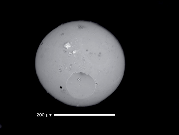 A microtektite with surface microcrater, formed about 56 million years ago. The apparent white color is a product of the imaging technique.