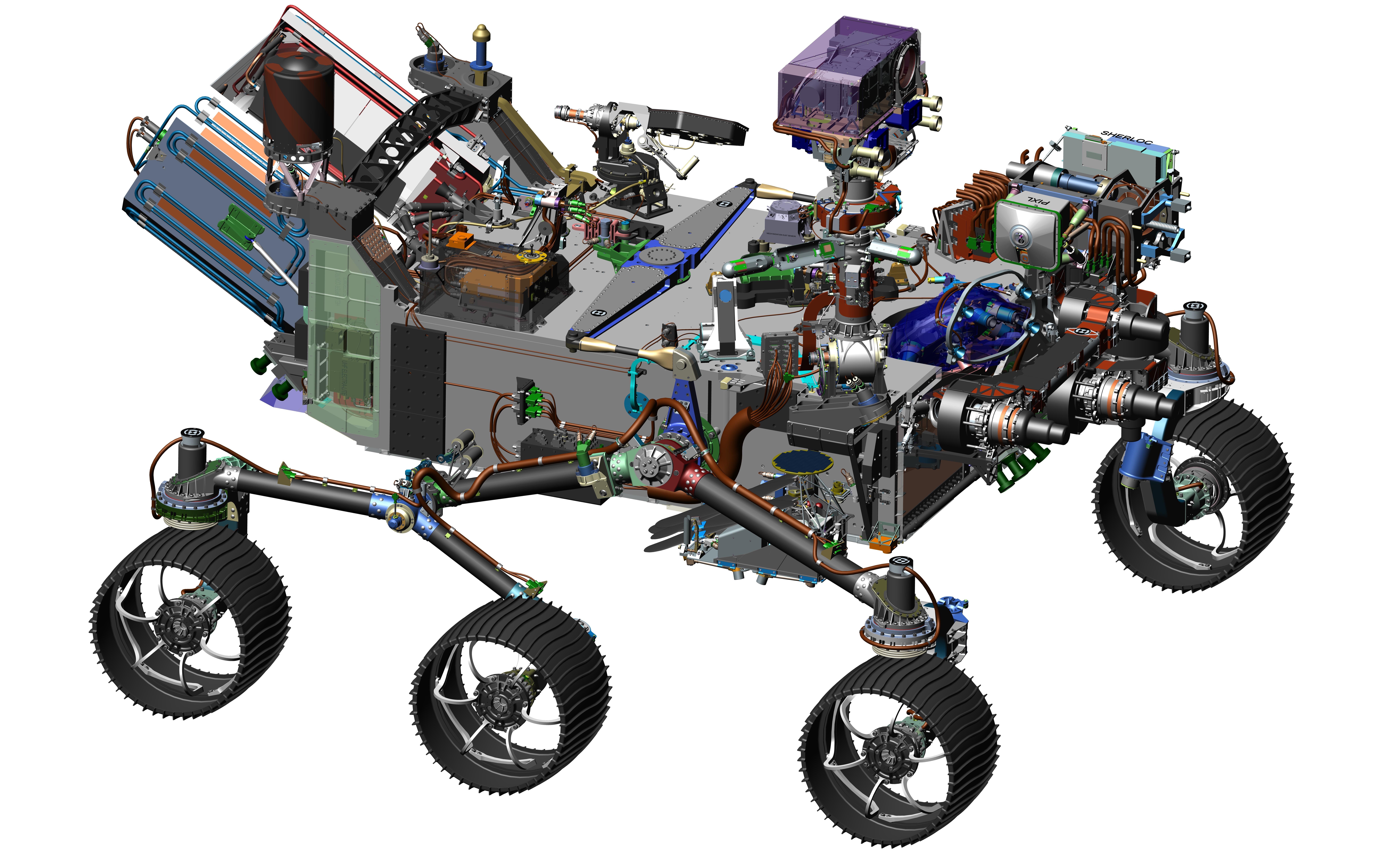 Iron-Loving Bacteria a Model For Mars Life