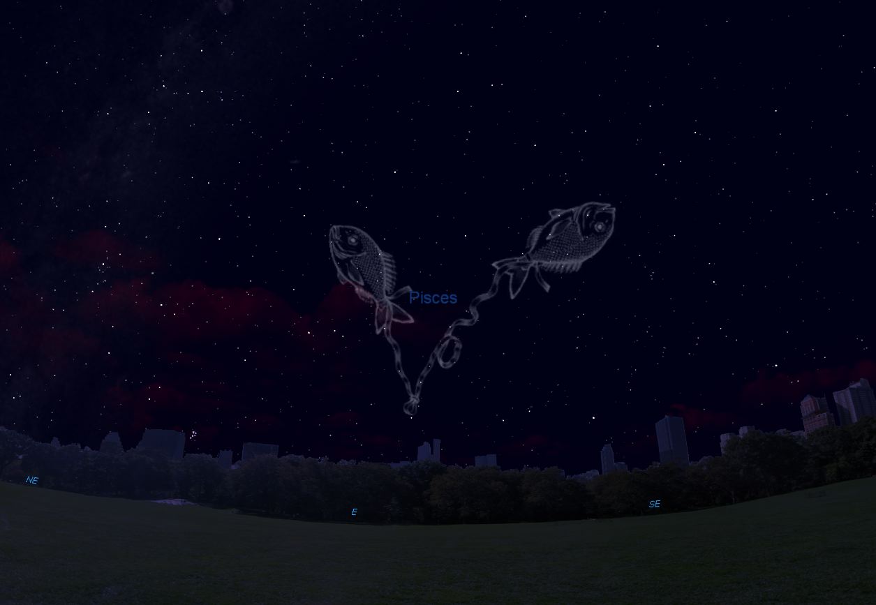 Watery Constellations Fill the Southern Sky