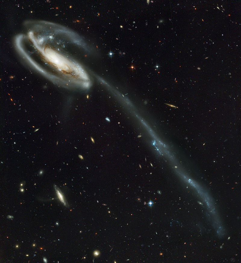 Tadpole Galaxy