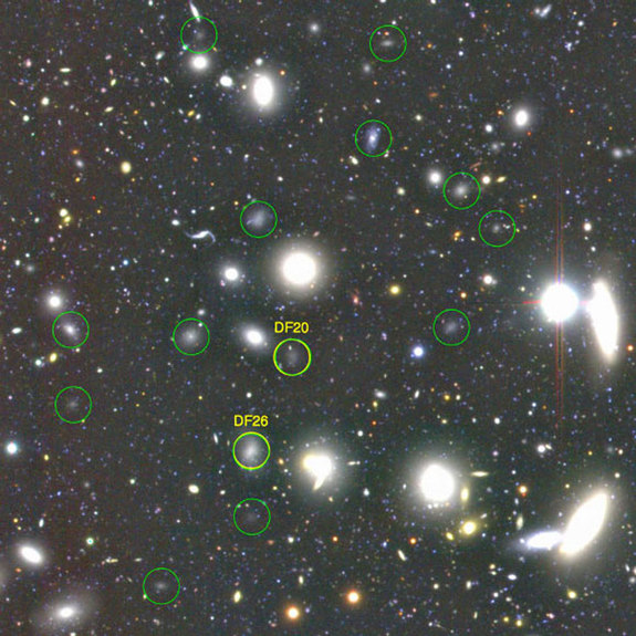 Some of the 854 ultra-diffuse galaxies found by the Subaru Telescope in the Coma galaxy cluster, about 300 million light-years away. Three hundred and thirty-two of them are Milky Way-size.