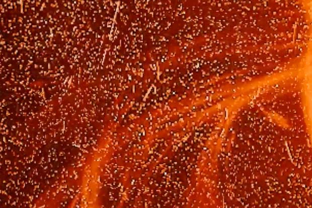 Sun 'Heat Bombs' Its Atmosphere, Evidence Found | Video