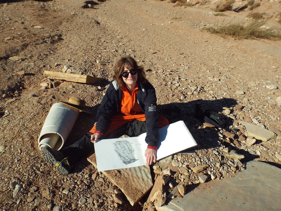 Me drawing honeycomb weathering on sandstone boulders at the Valley of the Stars.