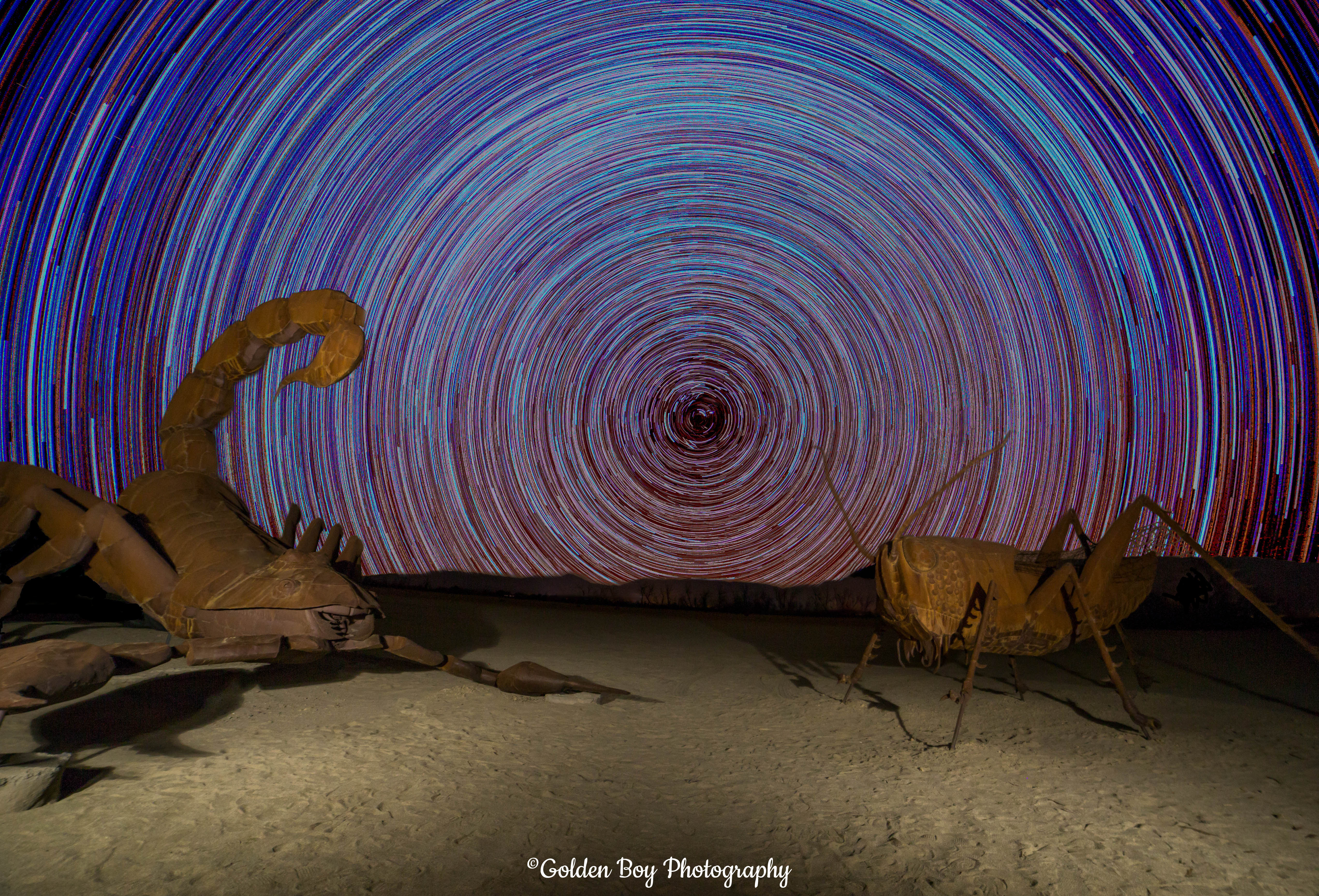 Photographer Captures Spectacular Star Trails Over Sculpture Park
