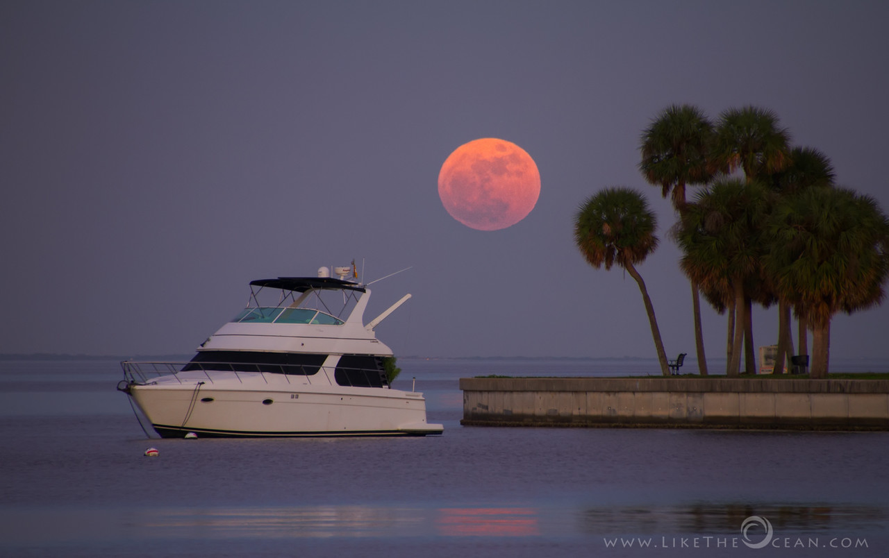Orange Supermoon for the Orange State