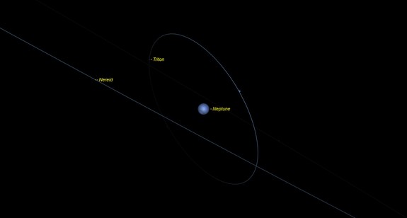 skywatching Neptune