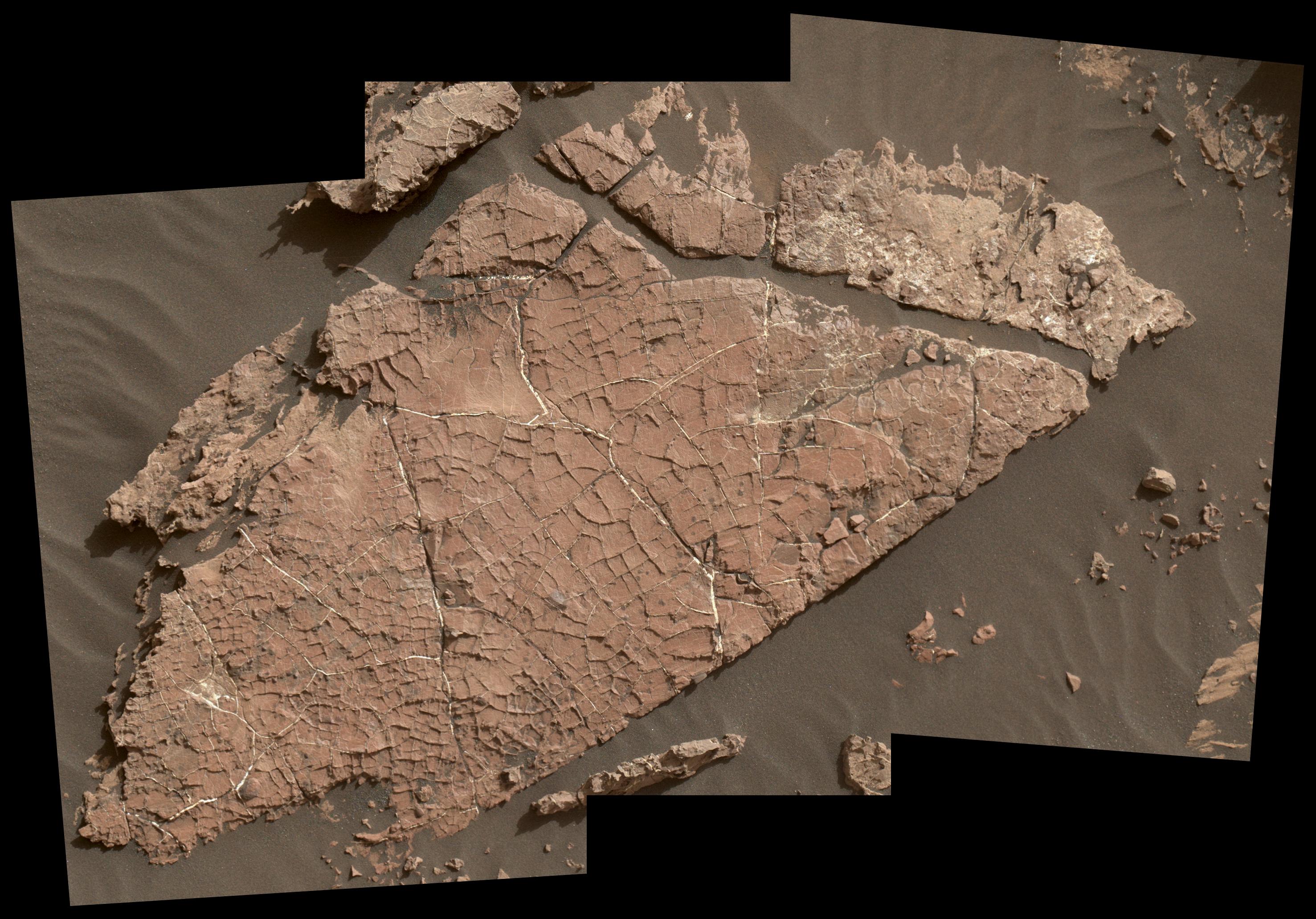 Mud Cracks on Mars Suggest a Watery Ancient Past
