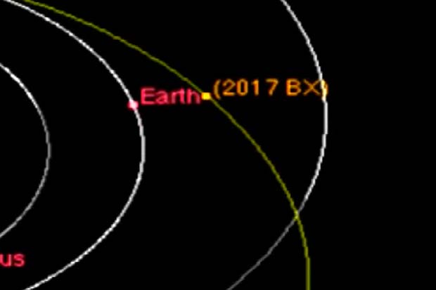 House-Sized Asteroid Nicknamed 'Rerun' To Buzz Earth | Orbit Animation
