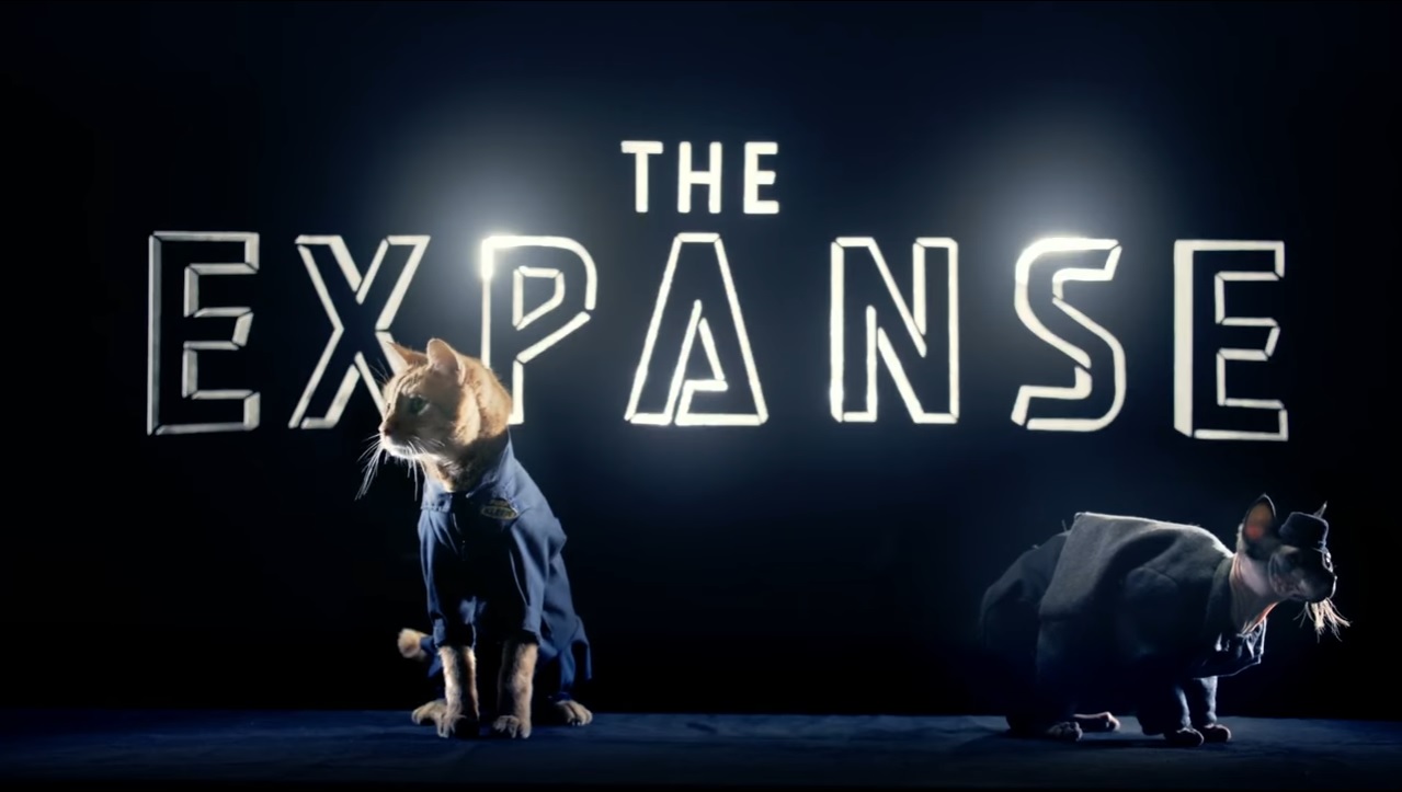 Don't Ask Why Cats Populate this 'Expanse' Recap Video -- Just Enjoy