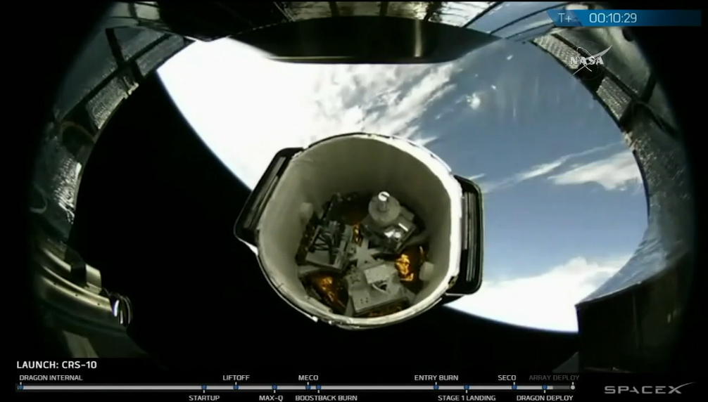 SpaceX Dragon Capsule Aborts Cargo Delivery to Space Station