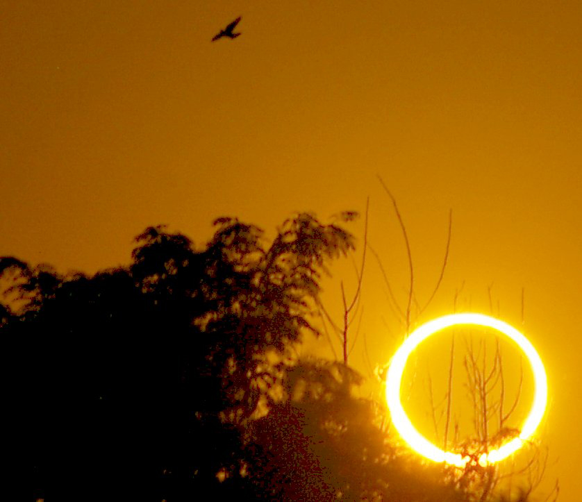 See the 'Ring of Fire' Solar Eclipse in Slooh Webcast Sunday!