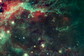 Wise-cygnus-swan