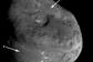 Comet Tempel 1 is All Fluff