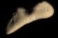 Eros-asteroid-color
