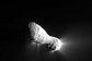 Comet-hartley2-first-images-2a-101104-02
