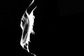 Rosetta-asteroid-encounter-nasa-workshop-1-100810-02