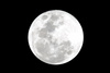 As our closest cosmic neighbor, and the Earth's only natural satellite, the moon has long been a symbol of mystery and intrigue. Spacecraft have been studying the moon for nearly 50 years, and lunar exploration has been an important benchmark in our natio