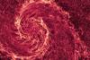 The Whirlpool Galaxy, AKA spiral galaxy M51, sports a new look when seen in near-infrared light by the Hubble Space Telescope. With most of the starlight removed, this image provides the sharpest view of the dust structure of the galaxy to date. 