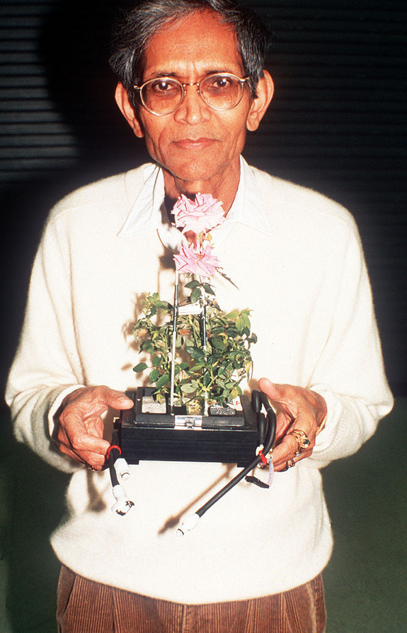 International Flavors and Fragrances Inc., Dr. Braja Mookherjee with the Overnight Scentsation rose plant after its flight aboard NASA's shuttle mission STS-95. 