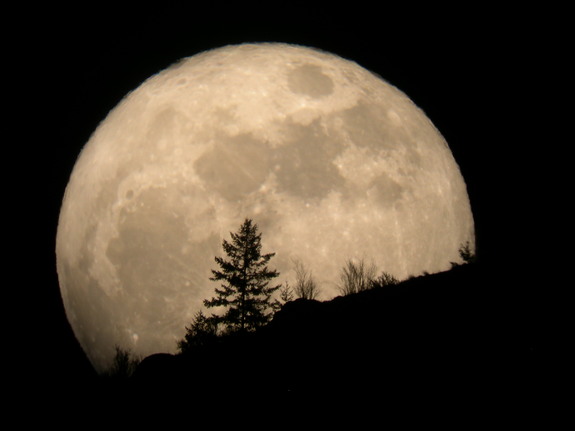 Washington Moonrise